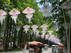 -日照海滨国家森林公园