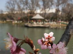 -玄武湖景区-情侣园游乐场