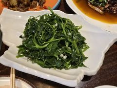 -泡桐树孙二娘私房菜