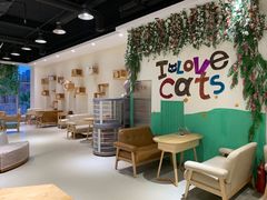 大堂-藏猫猫咖啡主题馆(中央大道店)