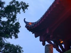 -喜家德虾仁水饺(麒麟社店)