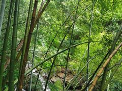 -藏龙百瀑风景区