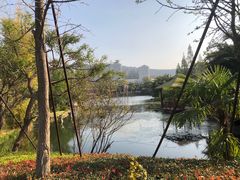 -抚仙湖万达文华酒店
