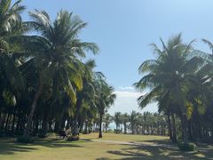 -三亚海棠湾喜来登度假酒店