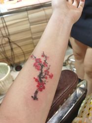 -长沙纹身·龙堂刺青·三土师傅的店