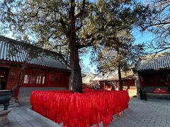 -红螺寺