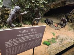 -北京周口店北京人遗址博物馆