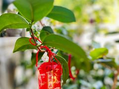 -杭州上天竺法喜讲寺