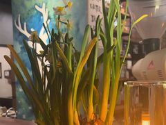 -咖法森林·咖啡  酒吧(天河店)