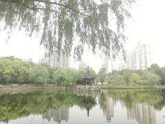 -和平公园