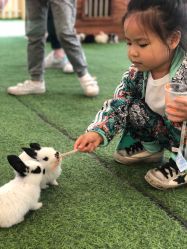 -萌宠亲子动物乐园(槐房万达店)