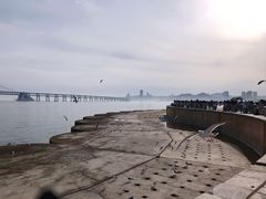 -星海广场