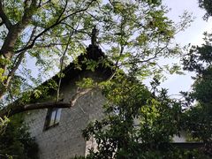 -赭山公园