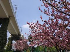 -漕溪路(地铁站)