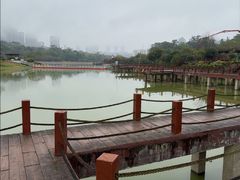 -广西壮族自治区药用植物园