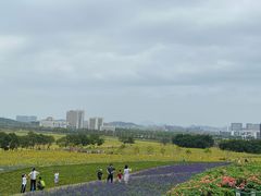 -光明小镇欢乐田园