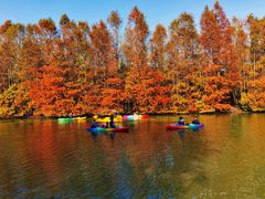 -上海海湾国家森林公园