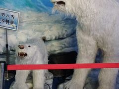 -多彩贵州城极地海洋世界