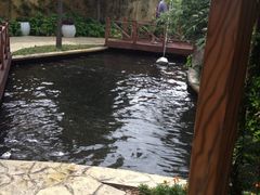 -热带风暴水上乐园(新镇路)