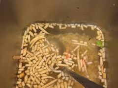 -赵美丽·重庆社区火锅·直营店(火车东站·中豪国际店)