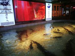 -胖姐渔村(中源大道店)