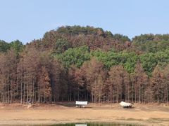 -青龙山国家森林公园