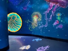 -南昌融创海世界