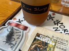 滇橄榄普洱冷萃茶-饵块食光·云南有机手作饵块