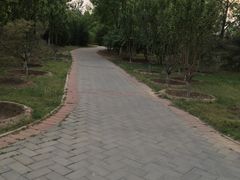 -永定河休闲森林公园