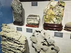 -河南自然博物馆