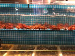 水产区-星伦多自助料理(永旺店)