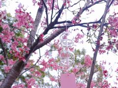 -狐尾山公园