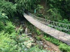 -龙道沟景区