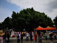 -鼓浪屿内厝澳码头(轮渡站)