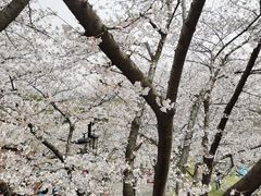 -苏州上方山国家森林公园