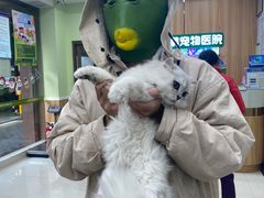 -瑞鹏宠物医院·夜间急症·心超·猫科(祖庙分店)