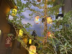 -闽江夜游台江旅游码头