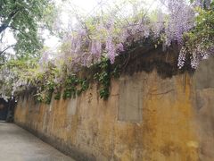 -颐和路民国时期公馆风貌区