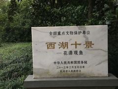 -西湖外事游船(花港观鱼码头)
