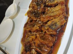 -金春禧(世茂国际广场店)