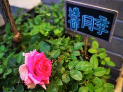 -四喜小胖·北京涮肉(五道营店)