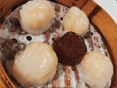 稻香虾饺皇-稻香酒家·34年老字号·港式粤菜(汉街店)