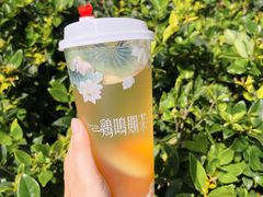 -鸡鸣赐茶(鸡鸣寺路店)