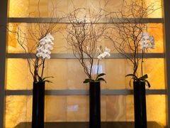 -上海明天广场JW万豪酒店