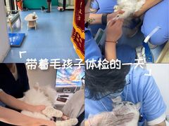 -博特宠物医院24h犬猫全科.骨科·异宠
