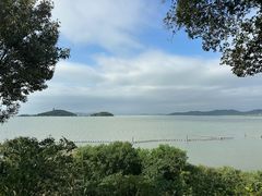 -上海市保健医疗中心