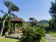 -深圳仙湖植物园