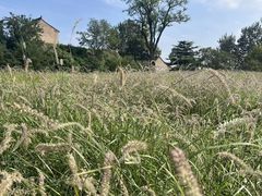 -汉长安城未央宫国家考古遗址公园