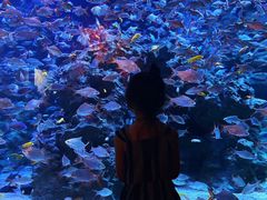 -成都浩海立方海洋公园