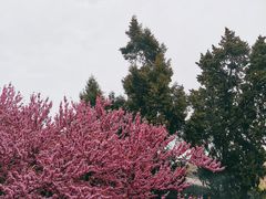 -西安市广仁寺